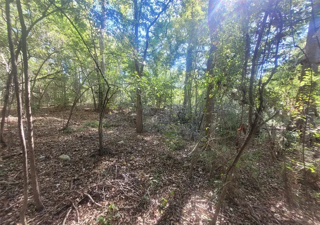 Photo 3 of Land for sale at 0 Lakeside Dr, Cleveland, TX 77327 | MLS# 38040946 | Listing updated on 2025-11-24