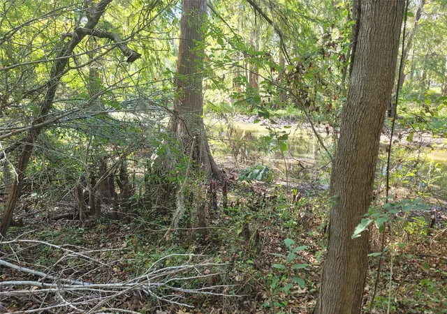 Photo 7 of Land for sale at 0 Lakeside Dr, Cleveland, TX 77327 | MLS# 38040946 | Listing updated on 2025-11-24