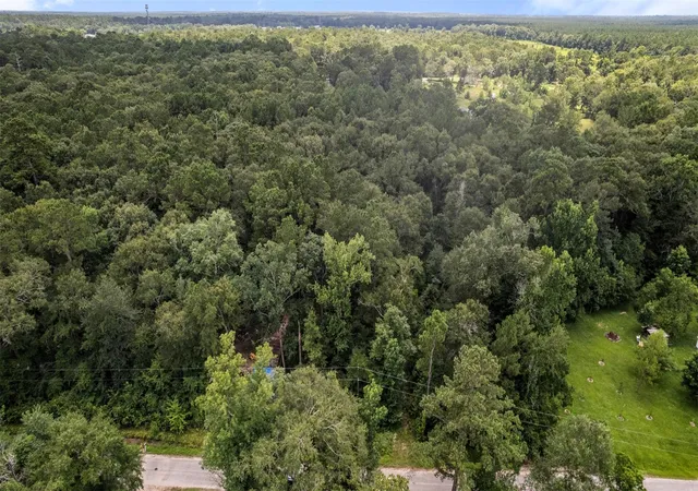 Photo 4 of Land for sale at 0 Sherwood Dr, Shepherd, TX 77371 | MLS# 57840896 | Listing updated on 2026-07-05