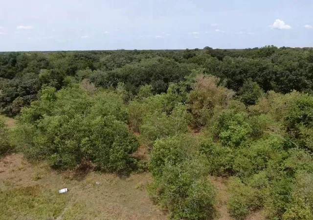 Photo 1 of Land for sale at 0 Brazos River Rd, Damon, TX 77430 | MLS# 82192925 | Listing updated on 2026-09-18