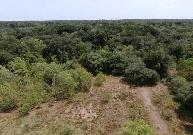 Photo 2 of Land for sale at 0 Brazos River Rd, Damon, TX 77430 | MLS# 82192925 | Listing updated on 2026-09-18