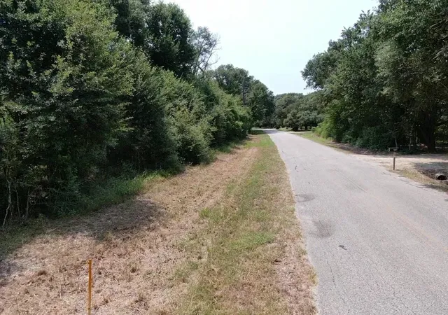 Photo 3 of Land for sale at 0 Brazos River Rd, Damon, TX 77430 | MLS# 82192925 | Listing updated on 2026-09-18