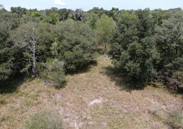 Photo 4 of Land for sale at 0 Brazos River Rd, Damon, TX 77430 | MLS# 82192925 | Listing updated on 2026-09-18