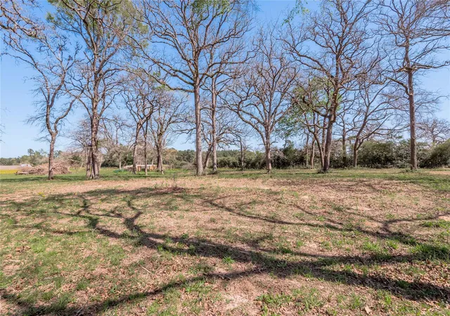 5th image of 3006 County Road 204, Centerville, TX 75833 | MLS# 93159096