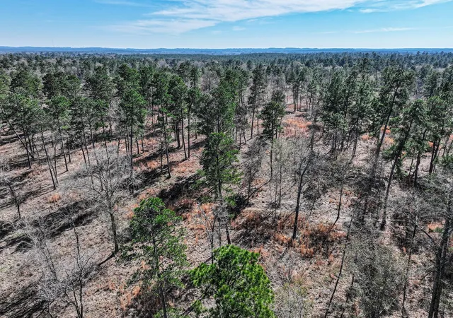 2nd image of 145 Acres Westview Dr, Huntsville, TX 77320 | MLS# 62475771