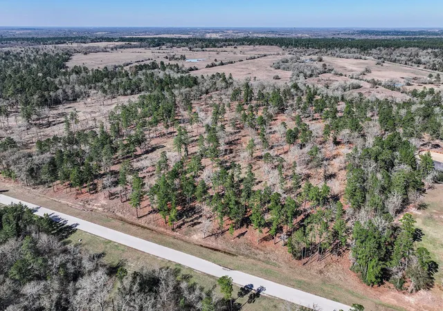 Photo 3 of Land for sale at 145 Acres Westview Dr, Huntsville, TX 77320 | MLS# 62475771 | Listing updated on 2026-07-21