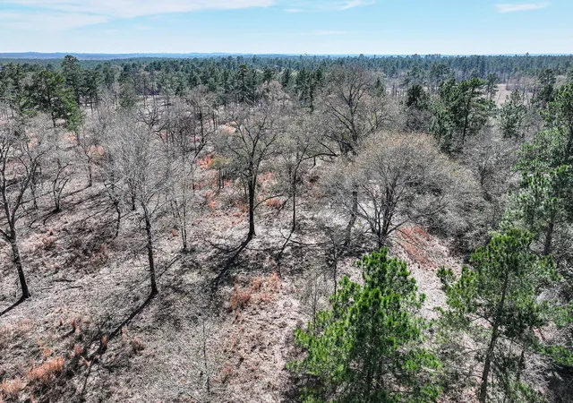 Photo 3 of Land for sale at 145 Acres Westview Dr, Huntsville, TX 77320 | MLS# 62475771 | Listing updated on 2026-07-21