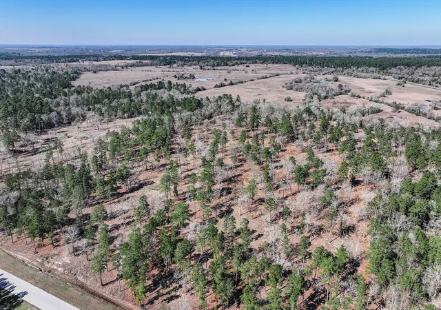 Photo 4 of Land for sale at 145 Acres Westview Dr, Huntsville, TX 77320 | MLS# 62475771 | Listing updated on 2026-07-21