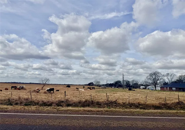 Photo 4 of Land for sale at Tbd Fm 770, Raywood, TX 77575 | MLS# 2147159 | Listing updated on 2026-04-20