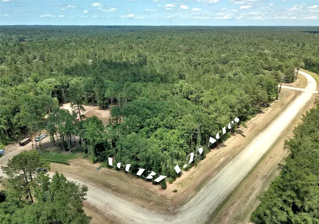 Homes for sale in New Waverly, TX | 258 Heartland Road, New Waverly, TX 77358 | MLS# 86309370