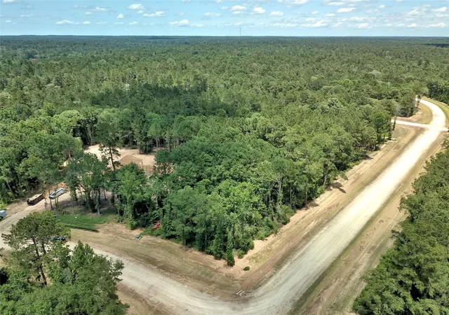 Homes for sale in New Waverly, TX | 258 Heartland Road, New Waverly, TX 77358 | MLS# 86309370