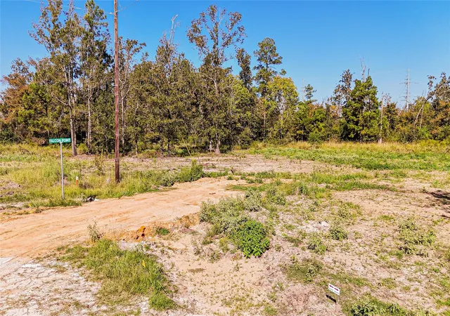 4th image of 016 Falcon Point, Onalaska, TX 77360 | MLS# 69884951