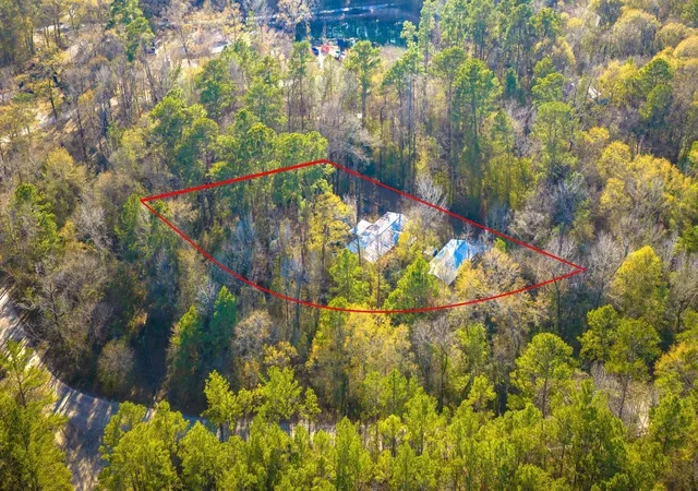 36th image of 113 Preston Ave, Livingston, TX 77351 | MLS# 11733003