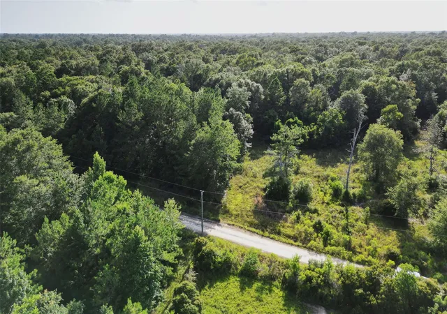 Homes for sale in Kountze, TX | 000 N Hwy 326, Kountze, TX 77625 | MLS# 81973666