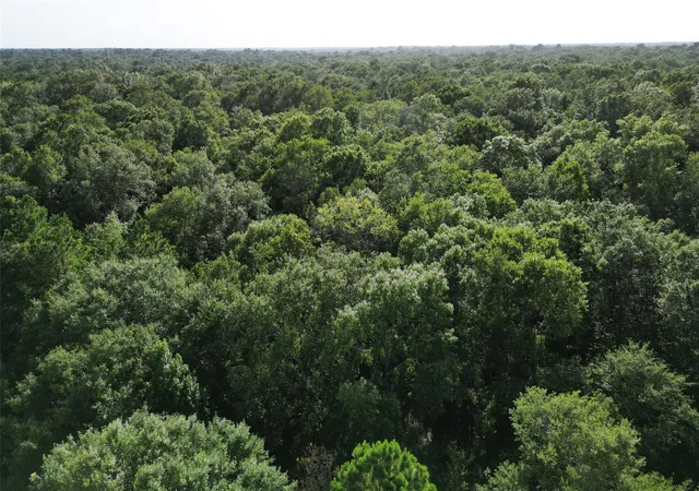 Homes for sale in Kountze, TX | 000 N Hwy 326, Kountze, TX 77625 | MLS# 81973666
