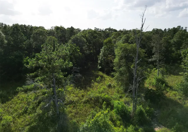 Homes for sale in Kountze, TX | 000 N Hwy 326, Kountze, TX 77625 | MLS# 81973666
