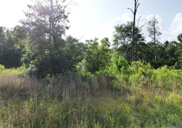 Homes for sale in Kountze, TX | 000 N Hwy 326, Kountze, TX 77625 | MLS# 81973666