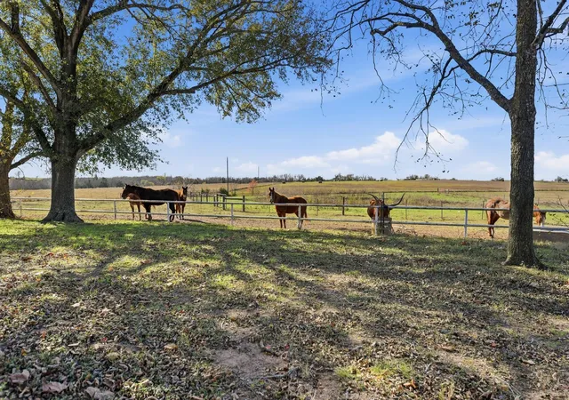 Photo 1 of Land for sale at 6921 Schulz Ln, Bleiblerville, TX 78931 | MLS# 21249026 | Listing updated on 2026-08-24