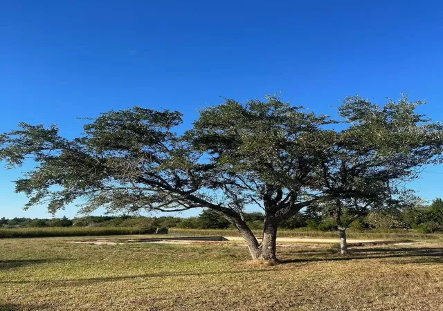 Photo 3 of Land for sale at 708 Bayou Ave, Anahuac, TX 77514 | MLS# 44284016 | Listing updated on 2026-08-24