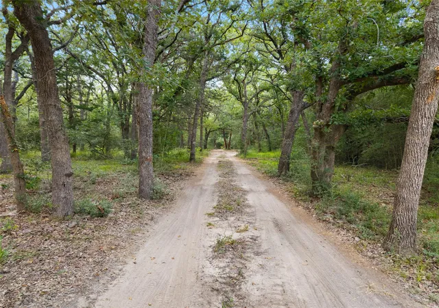 image of 21105 Fm 159, Millican, TX 77866 | MLS# 98889409