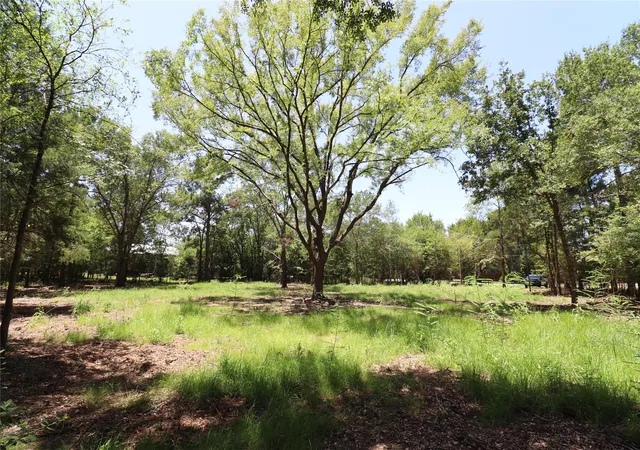 1st image of 13774 Midway Dr, Willis, TX 77318 | MLS# 30009326