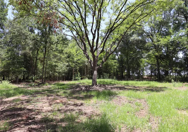 2nd image of 13774 Midway Dr, Willis, TX 77318 | MLS# 30009326