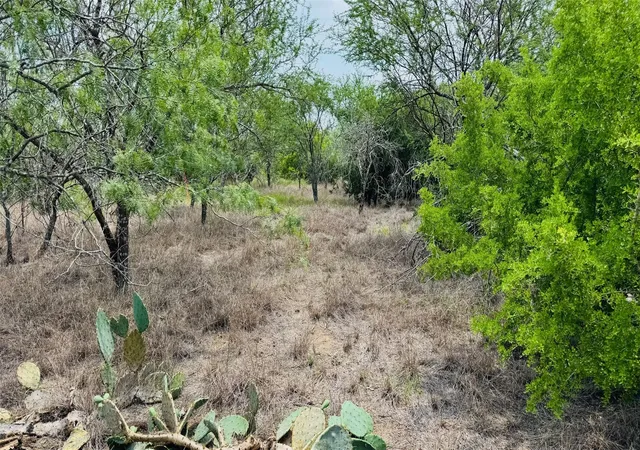 Photo 3 of Land for sale at Tbd Lot 3 528 Ac Fm 888, Beeville, TX 78102 | MLS# 67266081 | Listing updated on 2026-09-10