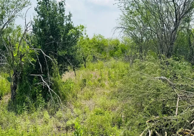 Photo 3 of Land for sale at Tbd Lot 3 528 Ac Fm 888, Beeville, TX 78102 | MLS# 67266081 | Listing updated on 2026-09-10