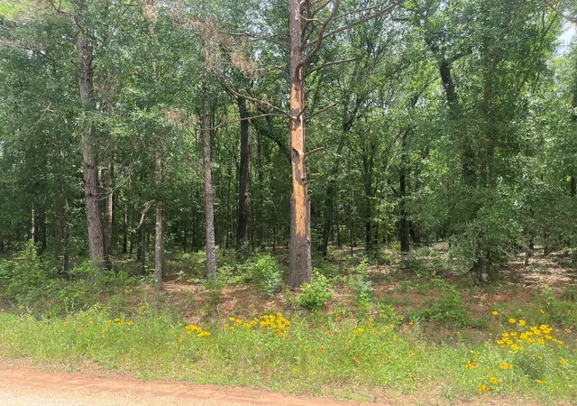 Photo 1 of Land for sale at 0 Oak Bnd, Cleveland, TX 77328 | MLS# 34073663 | Listing updated on 2026-08-11