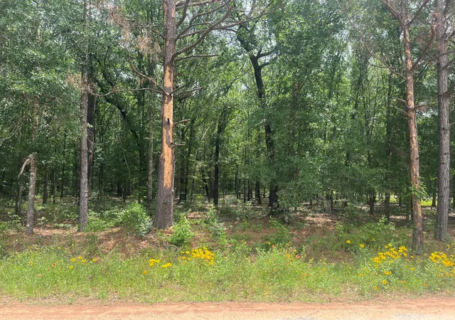 Photo 2 of Land for sale at 0 Oak Bnd, Cleveland, TX 77328 | MLS# 34073663 | Listing updated on 2026-08-11