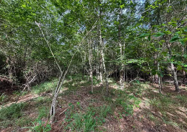 Homes for sale in Bedias, TX | 0 County Road 227, Bedias, TX 77831 | MLS# 17368844