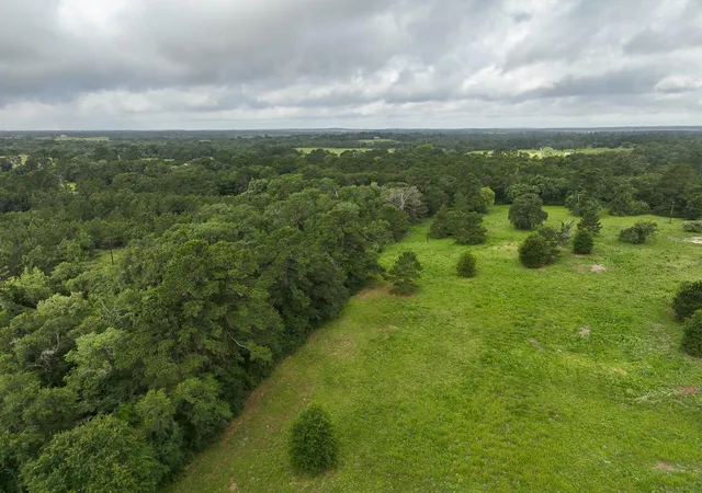 Homes for sale in Bedias, TX | 0 County Road 227, Bedias, TX 77831 | MLS# 17368844