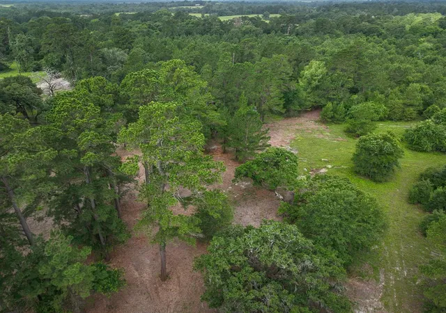 Homes for sale in Bedias, TX | 0 County Road 227, Bedias, TX 77831 | MLS# 17368844