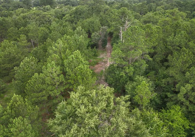 Homes for sale in Bedias, TX | 0 County Road 227, Bedias, TX 77831 | MLS# 17368844