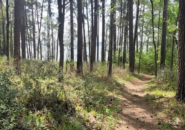 Photo 4 of Land for sale at 107 Henry Stuart Ct, Huntsville, TX 77340 | MLS# 40812830 | Listing updated on 2026-02-06