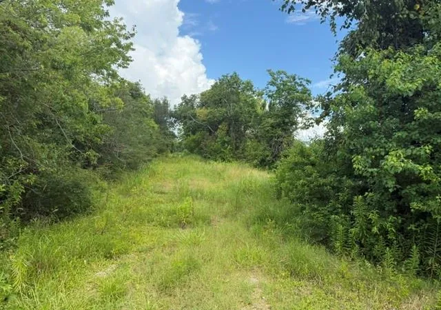 1st image of 0 Wetzel, Texas City, TX 77591 | MLS# 63653613