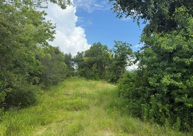 2nd image of 0 Wetzel, Texas City, TX 77591 | MLS# 63653613