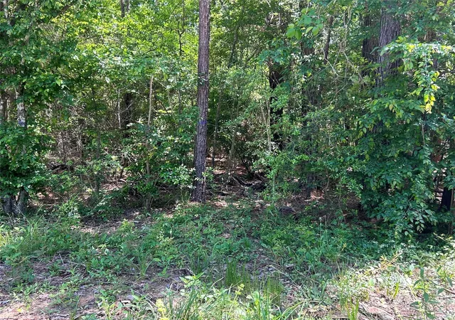 Photo 1 of Land for sale at 0 Redwood Ln, Montgomery, TX 77356 | MLS# 10286619 | Listing updated on 2026-02-26