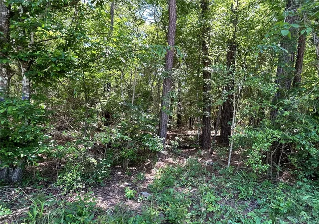 Photo 2 of Land for sale at 0 Redwood Ln, Montgomery, TX 77356 | MLS# 10286619 | Listing updated on 2026-02-26
