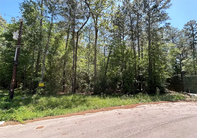 Photo 3 of Land for sale at 0 Redwood Ln, Montgomery, TX 77356 | MLS# 10286619 | Listing updated on 2026-02-26