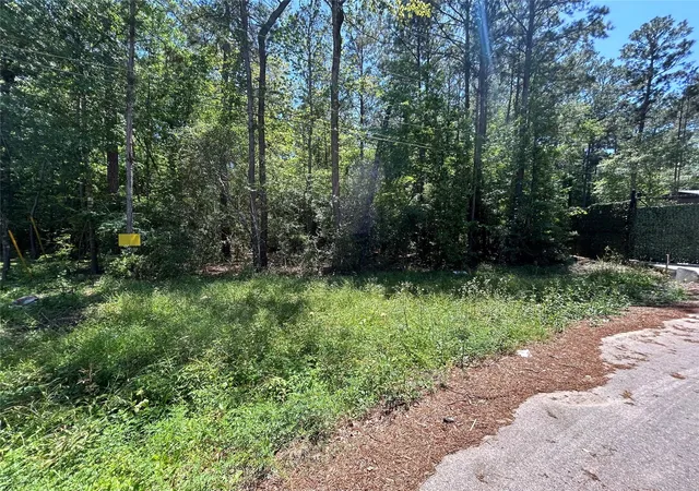 Photo 3 of Land for sale at 0 Redwood Ln, Montgomery, TX 77356 | MLS# 10286619 | Listing updated on 2026-02-26