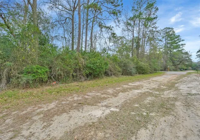 Photo 3 of Land for sale at 000 Willow Dr, Conroe, TX 77302 | MLS# 23621076 | Listing updated on 2026-04-15