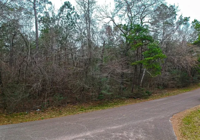 Photo 3 of Land for sale at 000 Willow Dr, Conroe, TX 77302 | MLS# 23621076 | Listing updated on 2026-04-15