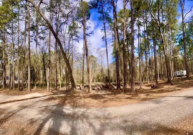 3rd image of 11253 Greenway Dr, Plantersville, TX 77363 | MLS# 12234547