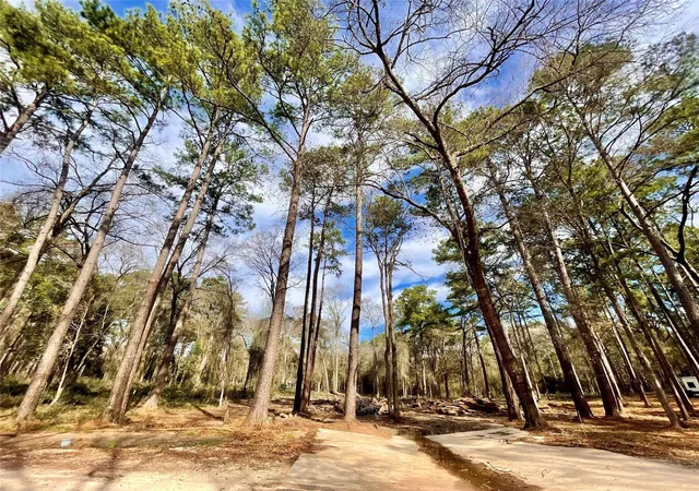 4th image of 11253 Greenway Dr, Plantersville, TX 77363 | MLS# 12234547