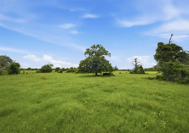 image of Tract 5 Holly Cemetery Rd, Franklin, TX 77856 | MLS# 83404336