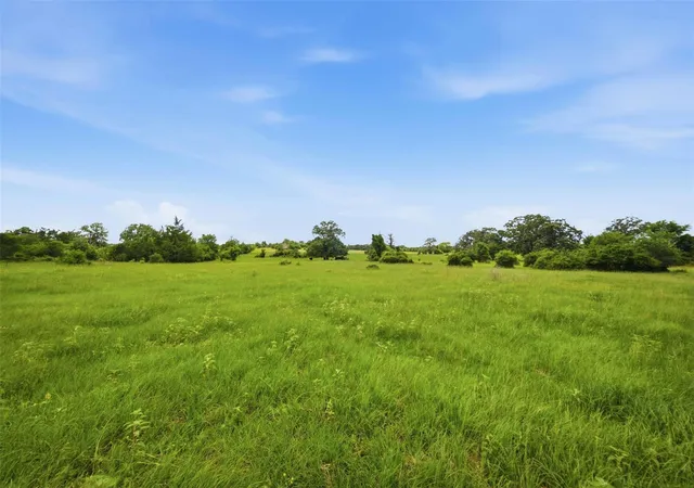 image of Tract 5 Holly Cemetery Rd, Franklin, TX 77856 | MLS# 83404336