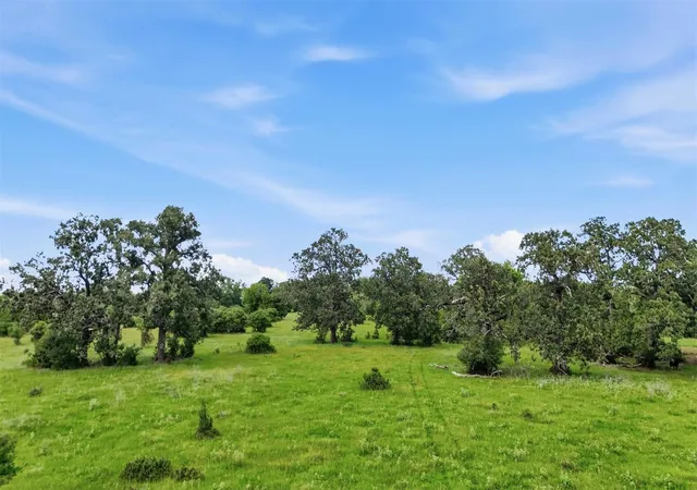 image of Tract 5 Holly Cemetery Rd, Franklin, TX 77856 | MLS# 83404336