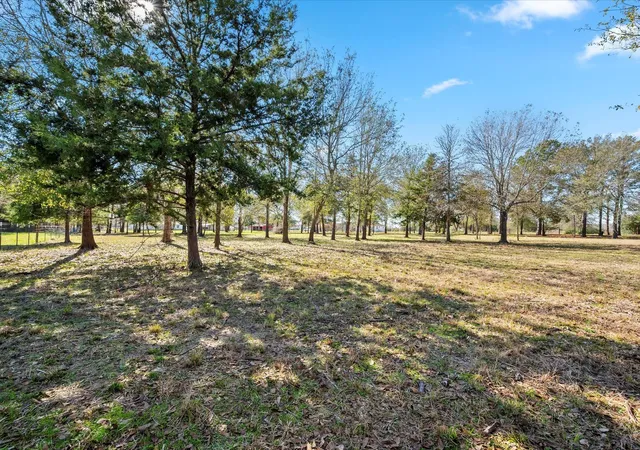 Photo 3 of Land for sale at 7039 Cotton St, Bedias, TX 77831 | MLS# 80464856 | Listing updated on 2026-08-03