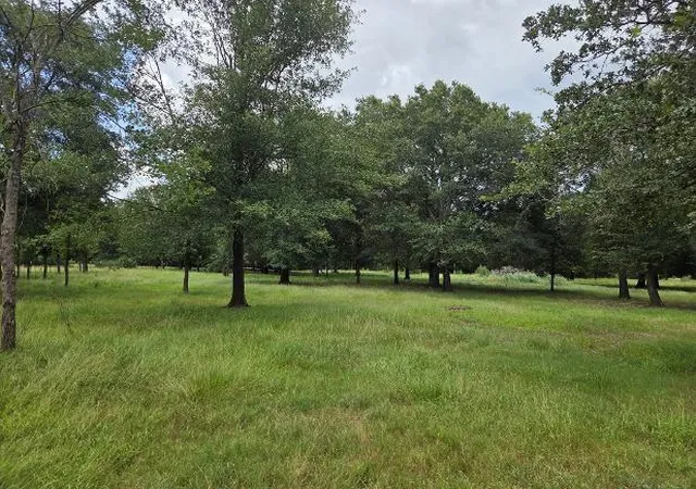 Photo 4 of Land for sale at 7039 Cotton St, Bedias, TX 77831 | MLS# 80464856 | Listing updated on 2026-08-03
